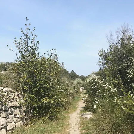 Appartement Dans La Catiche De Loutre