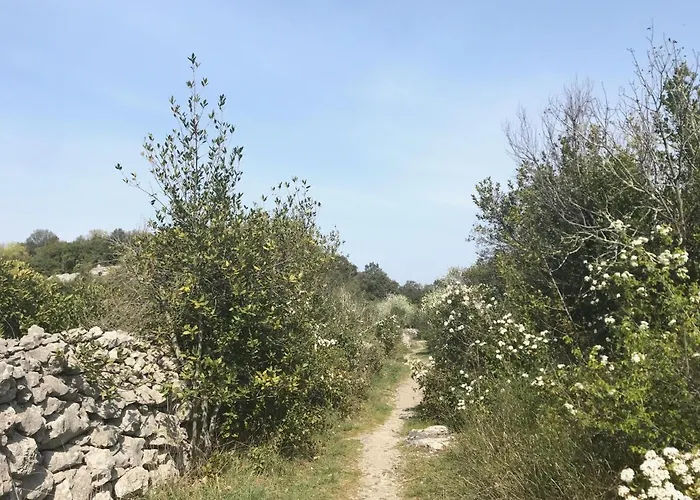 Apartamento Logis Dans La Catiche De Loutre, Maison Medievale